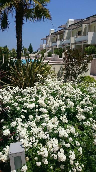 Residence Jesolo Lido Centro Con Piscina Exterior photo